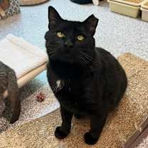 Thumbnail photo of Mr. Sid #2