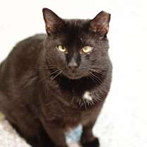 Thumbnail photo of Mr. Sid #3
