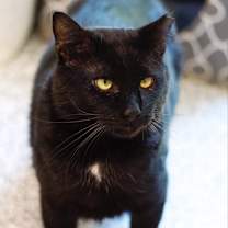 Thumbnail photo of Mr. Sid #4