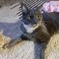 Thumbnail photo of Ripley #3