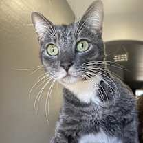 Thumbnail photo of Ripley #4