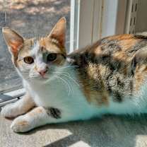 Thumbnail photo of Jasmine #1