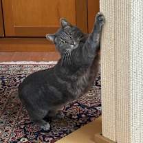 Thumbnail photo of Camila #1