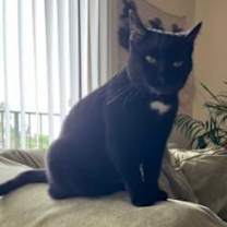 Thumbnail photo of Nakia #4