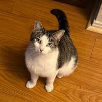 Thumbnail photo of Penelope #1