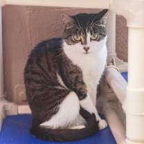 Thumbnail photo of Gretchen #4