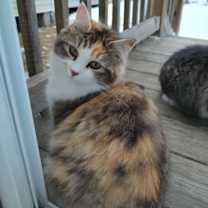 Thumbnail photo of D Crew #1