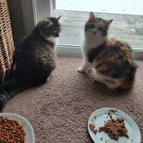 Thumbnail photo of D Crew #2