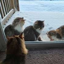 Thumbnail photo of D Crew #3