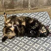 Thumbnail photo of Kay #1