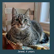 Thumbnail photo of Jewel #2