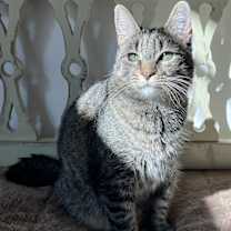 Thumbnail photo of Jewel #1