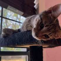 Thumbnail photo of Tabitha S #4