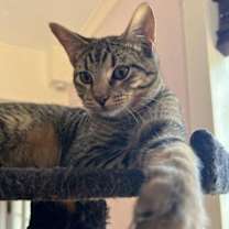 Thumbnail photo of Fergus S. #4