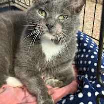 Thumbnail photo of Honey Boo #3