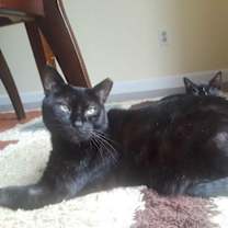 Thumbnail photo of Baby #1