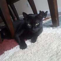 Thumbnail photo of Baby #2