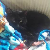 Thumbnail photo of Baby #3