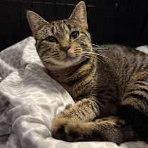 Thumbnail photo of Sarita #2