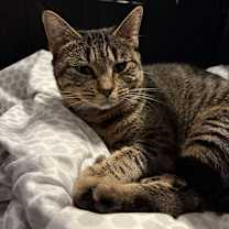 Thumbnail photo of Sarita #4