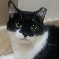 Thumbnail photo of Rey #for-ever-yours #1