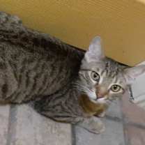 Thumbnail photo of Pappy #2