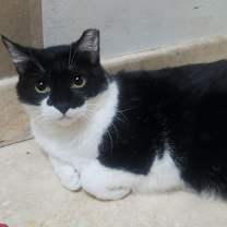 Thumbnail photo of Rey #for-ever-yours #3