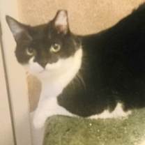 Thumbnail photo of Rey #for-ever-yours #4