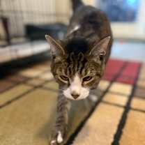 Thumbnail photo of DJ #1