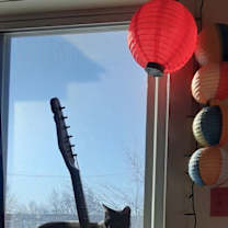 Thumbnail photo of Q-Tip #4