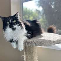 Thumbnail photo of Cheyanne #1