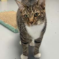 Thumbnail photo of Zak #1