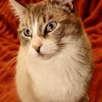 Thumbnail photo of Marshmellow #3