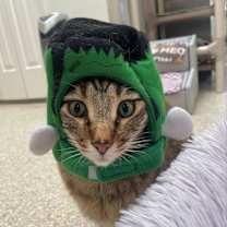 Thumbnail photo of Jinksies #3