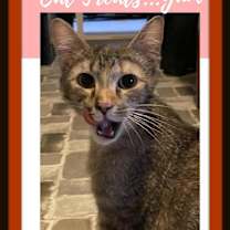 Thumbnail photo of Parker - By My Special Valentine! #3