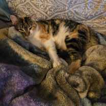 Thumbnail photo of Paris #1