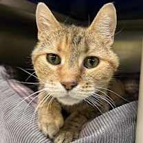 Thumbnail photo of Little Bit #1