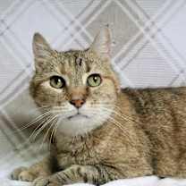 Thumbnail photo of Little Bit #2