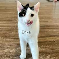 Thumbnail photo of Erika #3