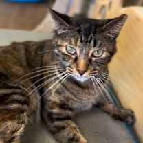 Thumbnail photo of Thumbelina #2