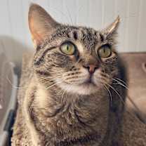 Thumbnail photo of Luna #3