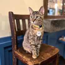 Thumbnail photo of Coco #2