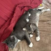 Thumbnail photo of Storm #2