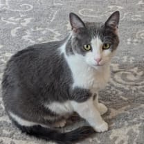 Thumbnail photo of Muffin Miller #1