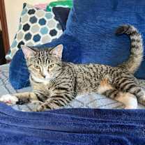 Thumbnail photo of Arthur #2