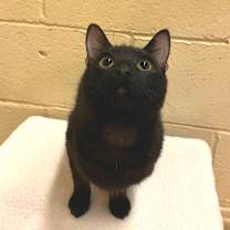 Thumbnail photo of Lily #2