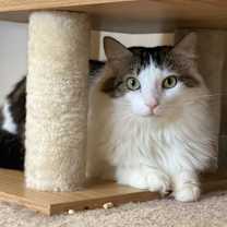 Thumbnail photo of Charlie #1