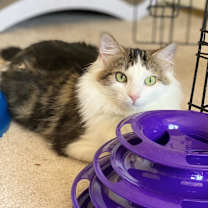 Thumbnail photo of Charlie #2