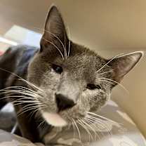 Thumbnail photo of Peter Brady #3