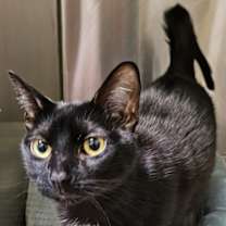 Thumbnail photo of Hammy #1